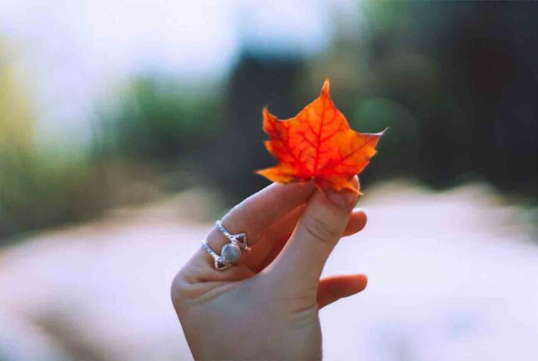 A Guide to Body Jewelry Care and Maintenance